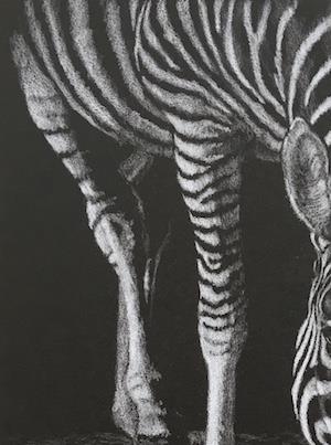 Kate JENVEY, Untitled (detail), 2019, pencil on paper. Courtesy of the artist Kate JENVEY, Untitled (detail), 2019, pencil on paper. Courtesy of the artist