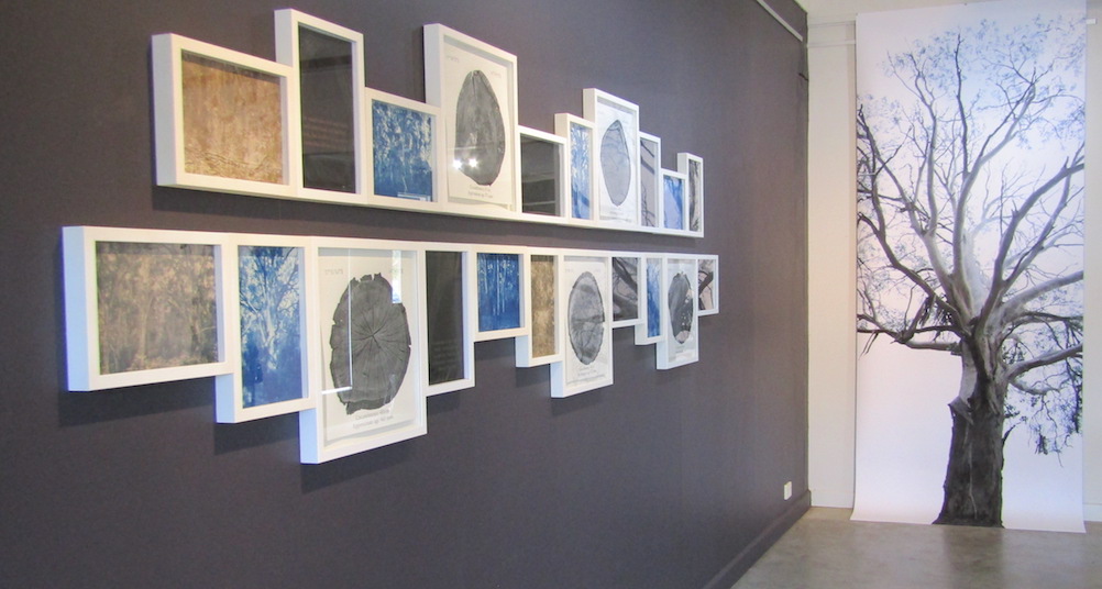 Lesley-Duxbury-left-Remnant-2023-cyanotype-carbon-paper-graphite-c.60cm-x-400cm-right-Weathering-2022-Inkjet-print-300cm-x-127cm-950