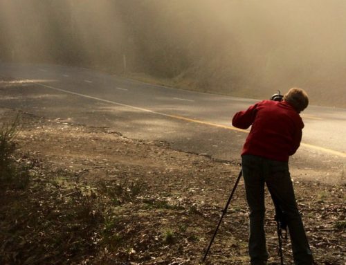 VISIONS: Photographing Benalla and Beyond