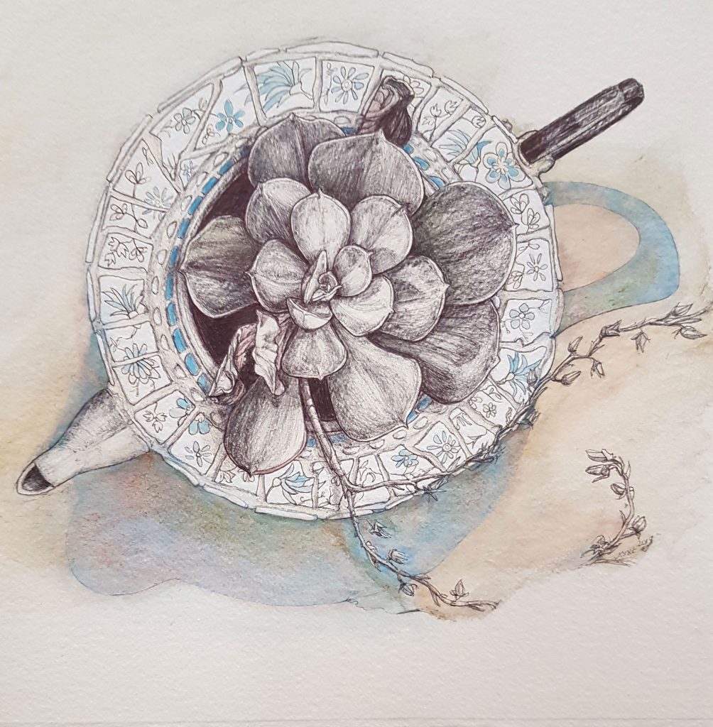 botanical-sketch-Janet-Leith