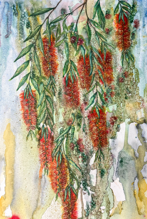 Traci J Bottlebrush