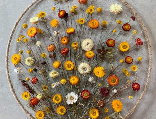 Felicity Pasztaleniec: Nature’s Everlastings – A journey through dried florals