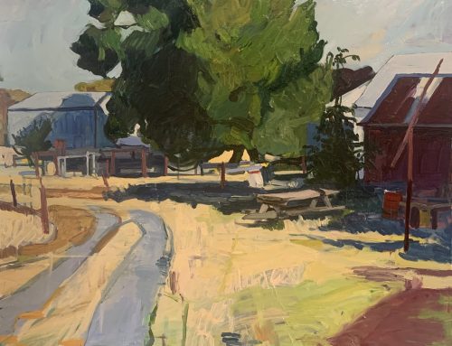Exhibition Celebration: Anna Mackrell – A Well Structured Nature