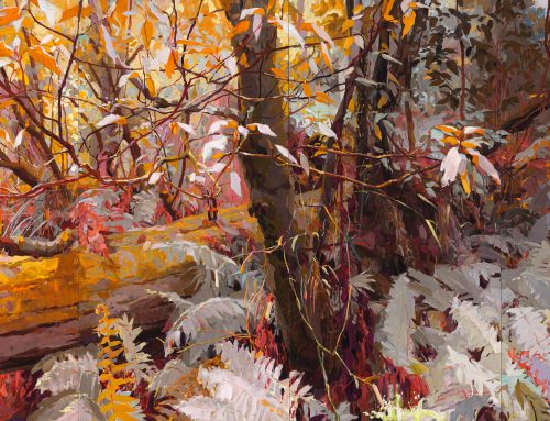 Exhibition Celebration: Mary Tonkin – Rambles