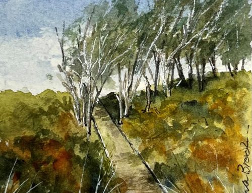 Art on Saturdays: Watercolours with Jana Brook