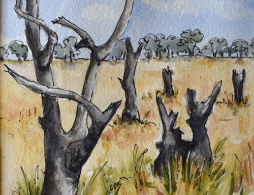 Jana Brook and Catherine Fuller: Grounded