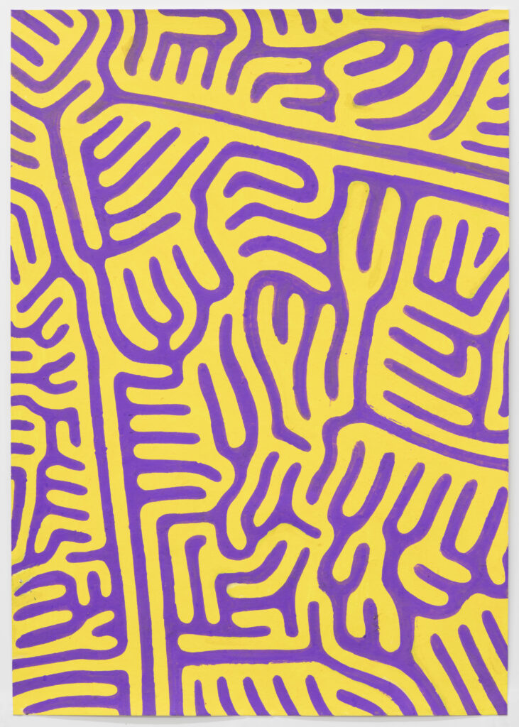 Anna DEHM, Cabbage Salad