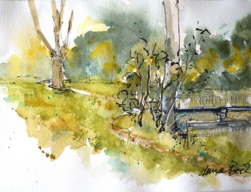 Art on Saturdays: Pen and Wash with Jana Brook *SOLD OUT*