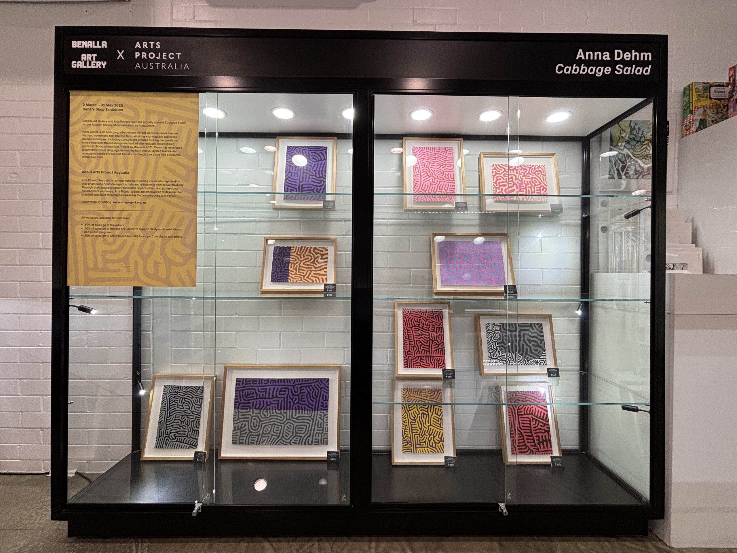 install view of Anna Dehm exhibition