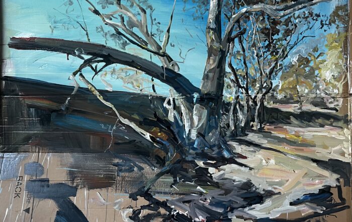 Daniel BUTTERWORTH The Bush