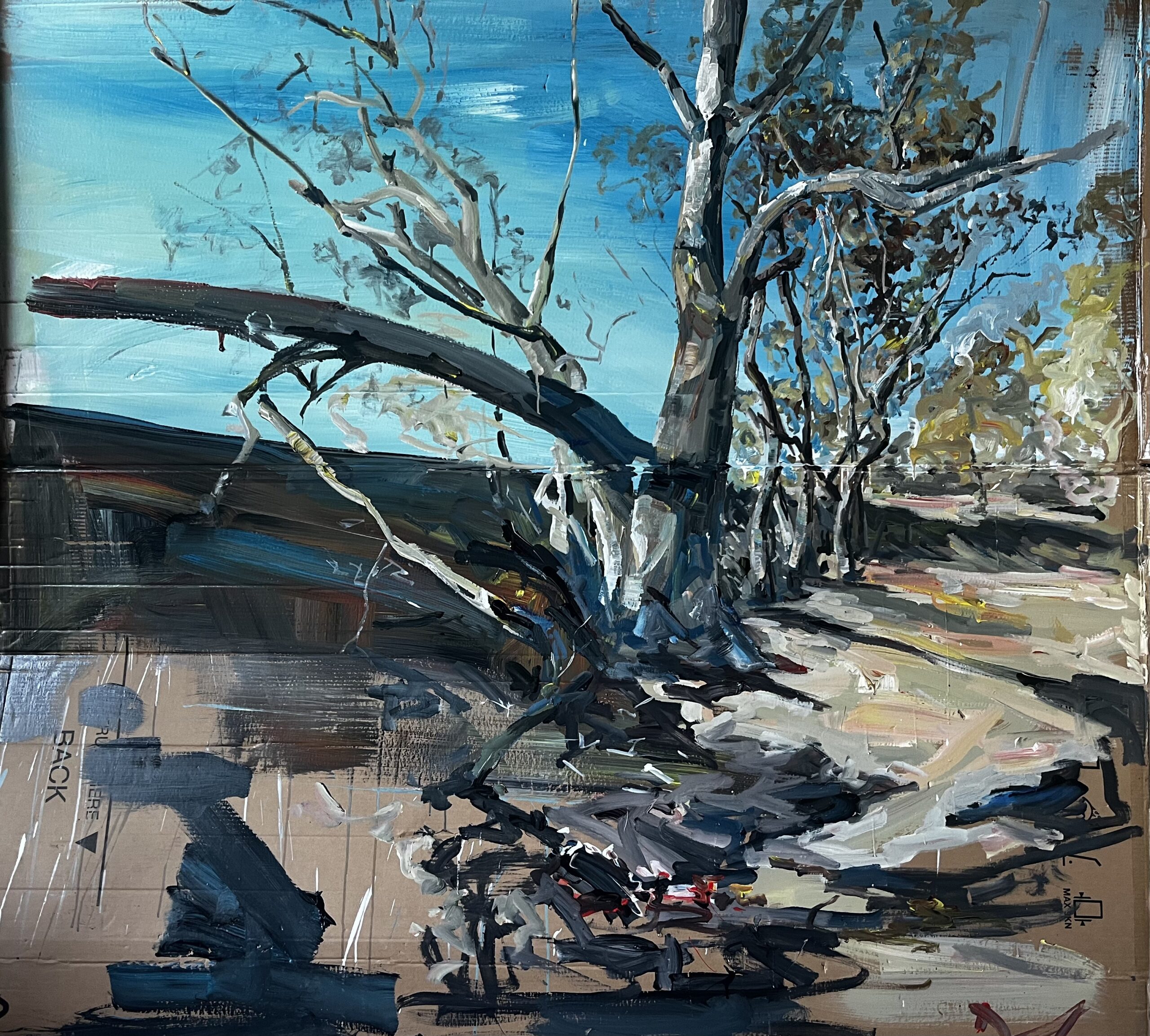 The bush 170 x 180 cm Daniel BUTTERWORTH The Bush