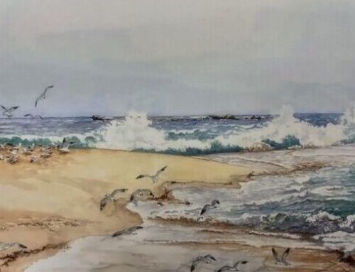 Jane Coy: Mysteries of the Great Ocean Road