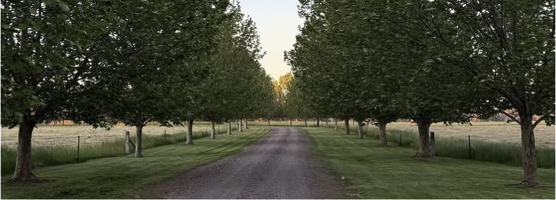 Holland Park, Photo provided by Georgina Burston