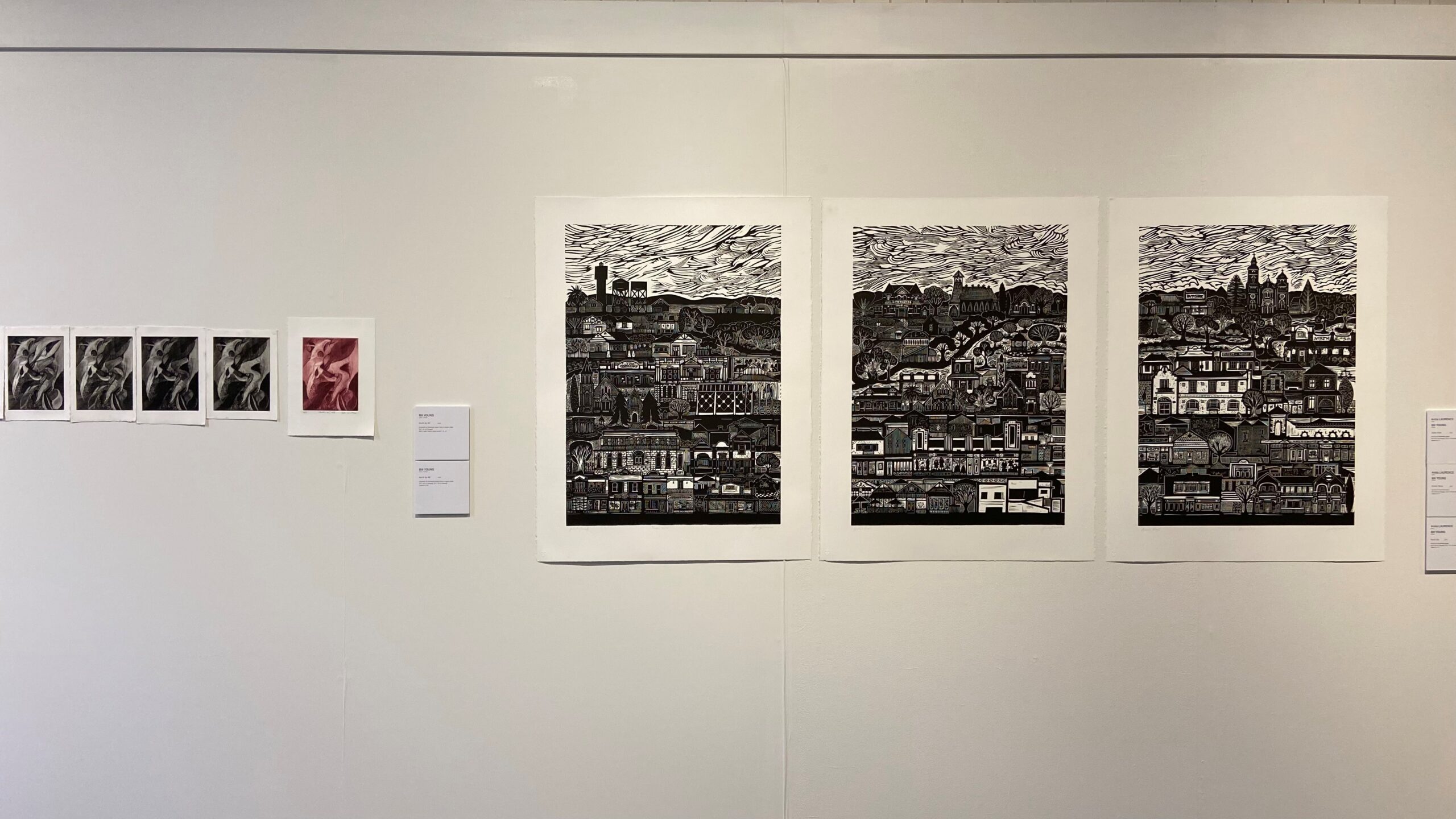 Anita Laurence and Bill Young: 'A Creative Partnership' installation view
