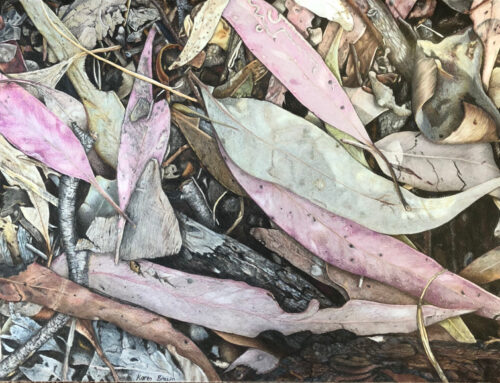 Art on Saturdays: Coloured Pencil Workshop with Karen Brown FULLY BOOKED